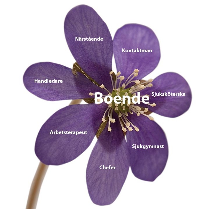 team runt de boende