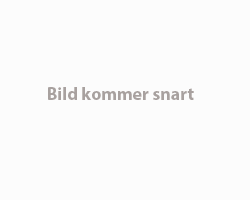 Bild kommer snart