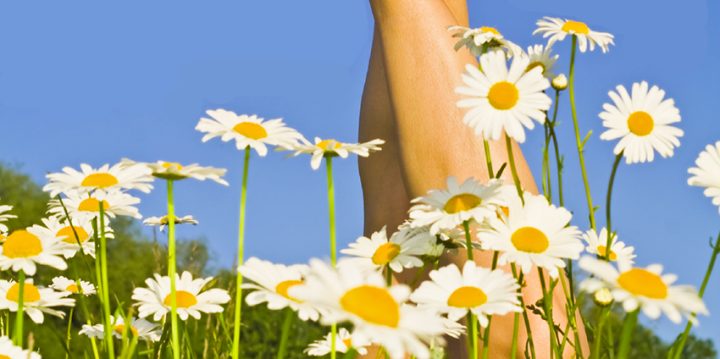 Almas sommarnummer 2016