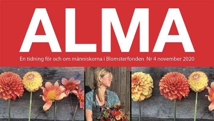 inlagg_framsida Alma nr 4 2020