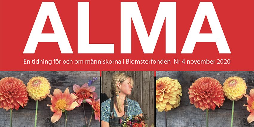 inlagg_framsida Alma nr 4 2020