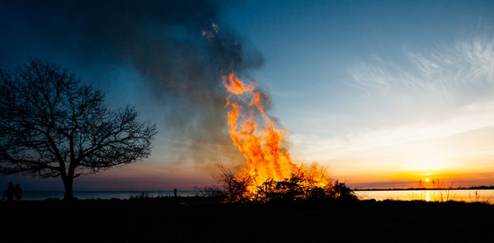 Blomsterfonden önskar trevlig Valborg!