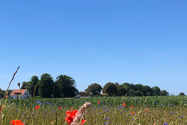 Medlemsavgiften 2022