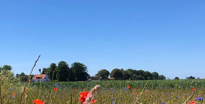 Medlemsavgiften 2022