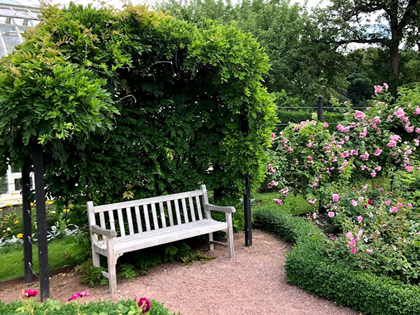 Jubileumsträdgård