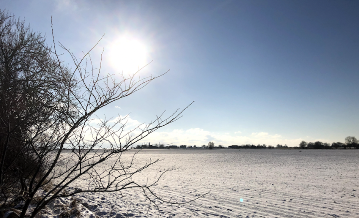 Medlemsavgiften 2023