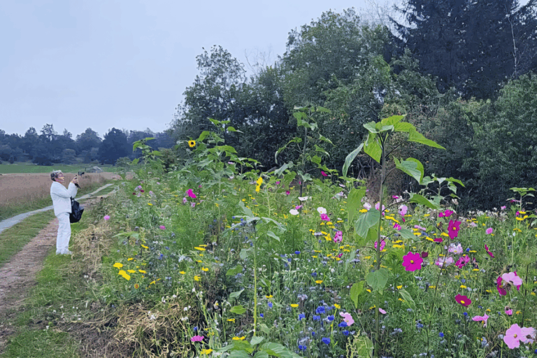 Promenad m Hg till insektsparken_www Promenad i insektsparken