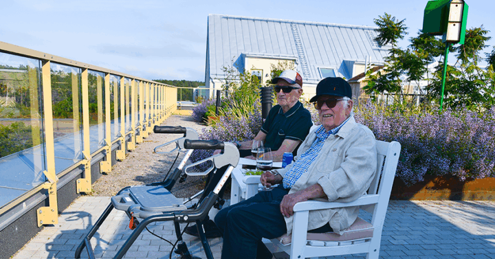 seniorfestivalen_www Seniorfestivalen 2025