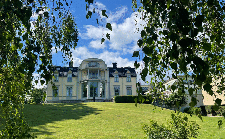Villa Svalnäs från björkarna_850