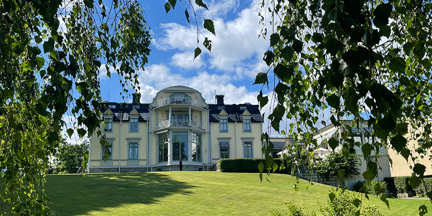 Villa Svalnäs från björkarna_850